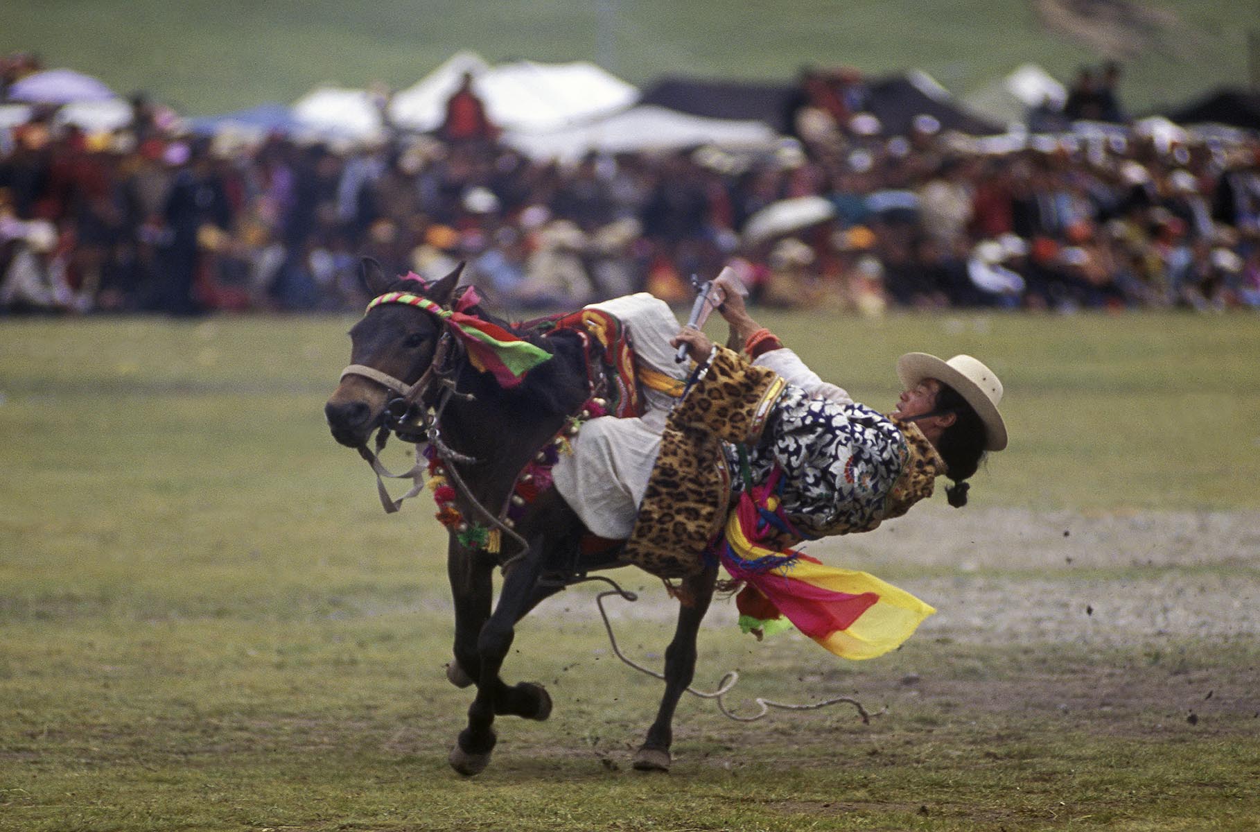Khampa's show horsemanship by touching the ground at the Litang Horse Festival  - Sichuan Province, China, (Tibet)