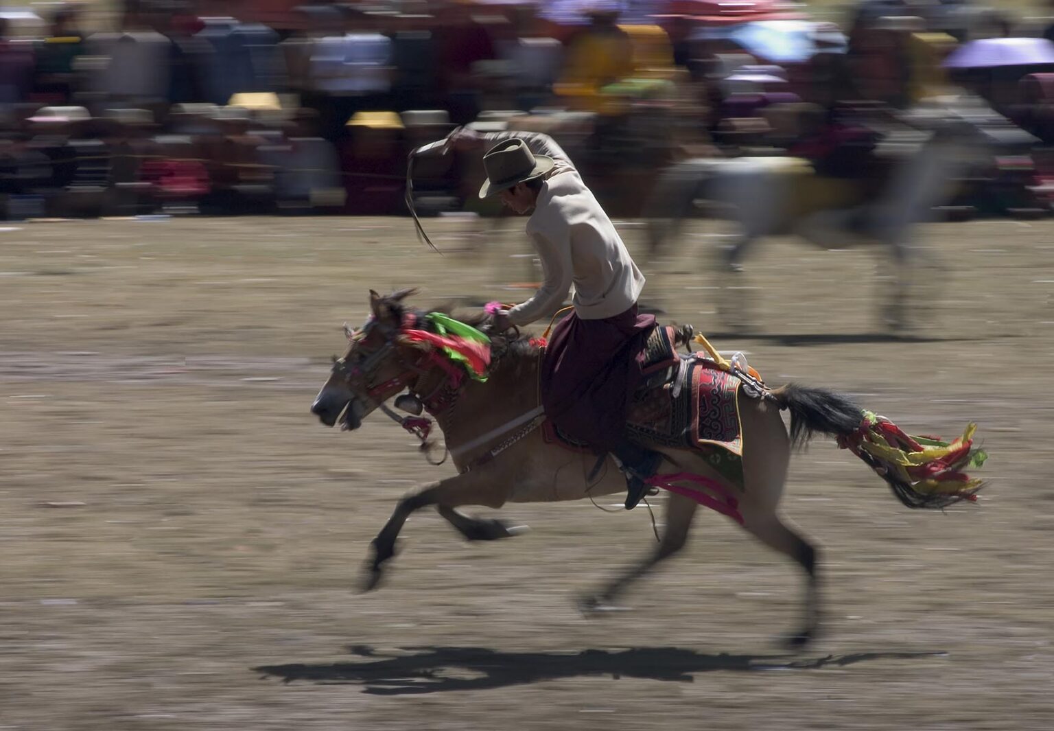 Khampa's entertain the crowd in a rowdy horse race at the Litang Horse Festival - Kham, Sichuan Province, China, (Tibet)