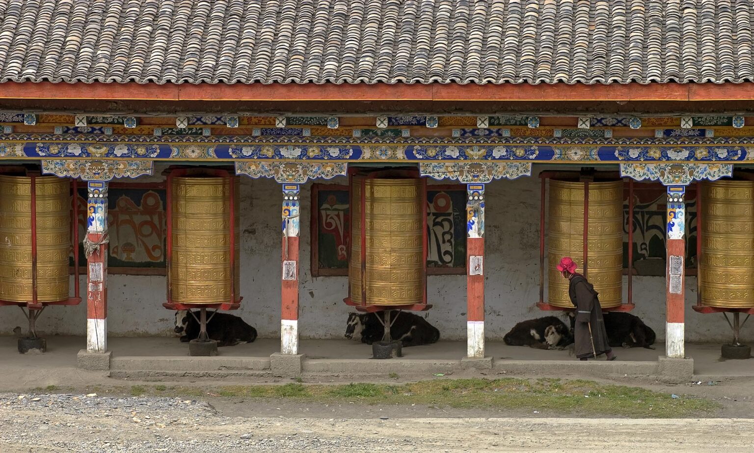 Giant prayer wheels and yaks at the Buddhist Monastery of Tagong (Lhagang) - Kham, Sichuan Province, China, (Tibet)