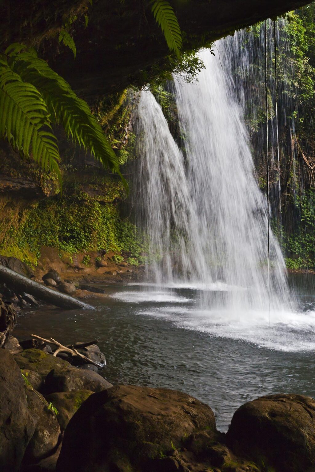 The CHAMPEE WATERFALL is located on the BOLAVEN PLATEAU near PAKSE - SOUTHERN, LAOS