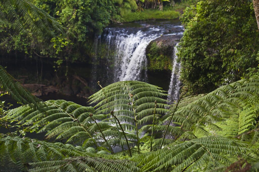 The CHAMPEE WATERFALL is located on the BOLAVEN PLATEAU near PAKSE - SOUTHERN, LAOS