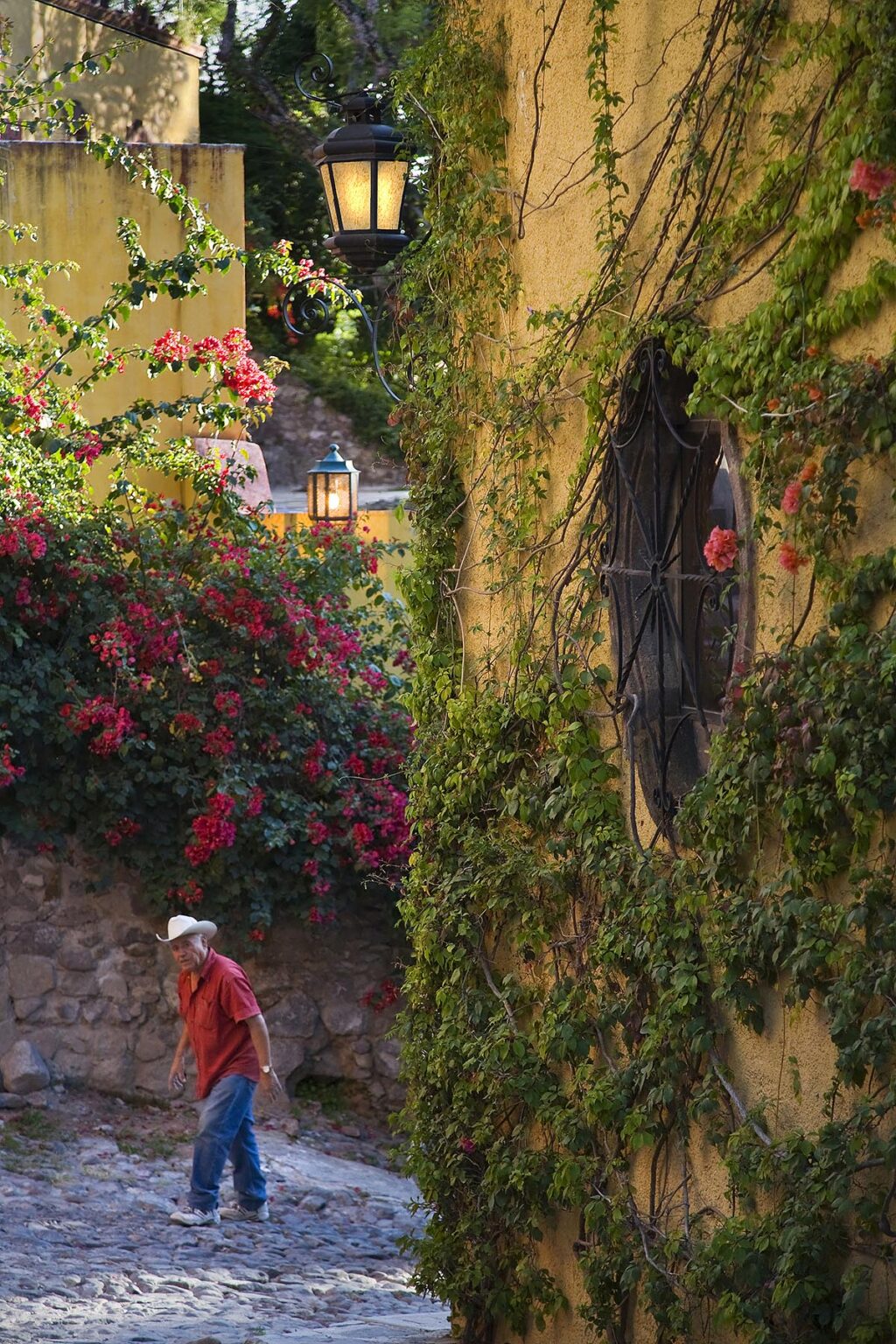 A Mexican man walks through the COBBLE STONE STREETS with BOUGAINVILLEA covering the walls of the houses - SAN MIGUEL DE ALLENDE, MEXICO