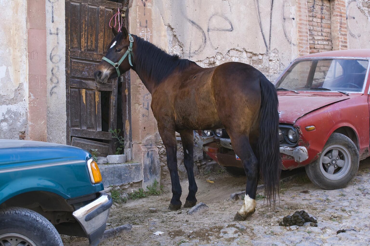 A tethered HORSE and CARS in the ghost town of MINERAL DE POZOS which is now a small artist colony and tourist destination - GUANAJUATO, MEXICO