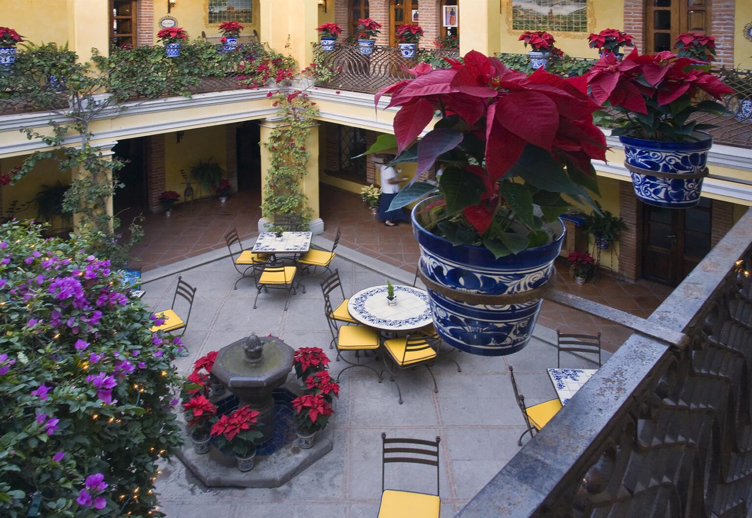 Potted POINSETTIAS and RESTAURANT COURTYARD in the hotel POSADA DE LAS MINAS in the ghost town of MINERAL DE POZOS - GUANAJUATO, MEXICO