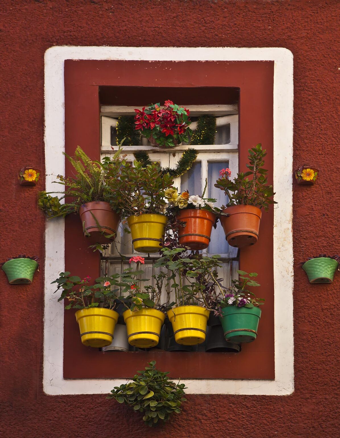 POTTED PLANTS hang from a window - GUANAJUATO, MEXICO