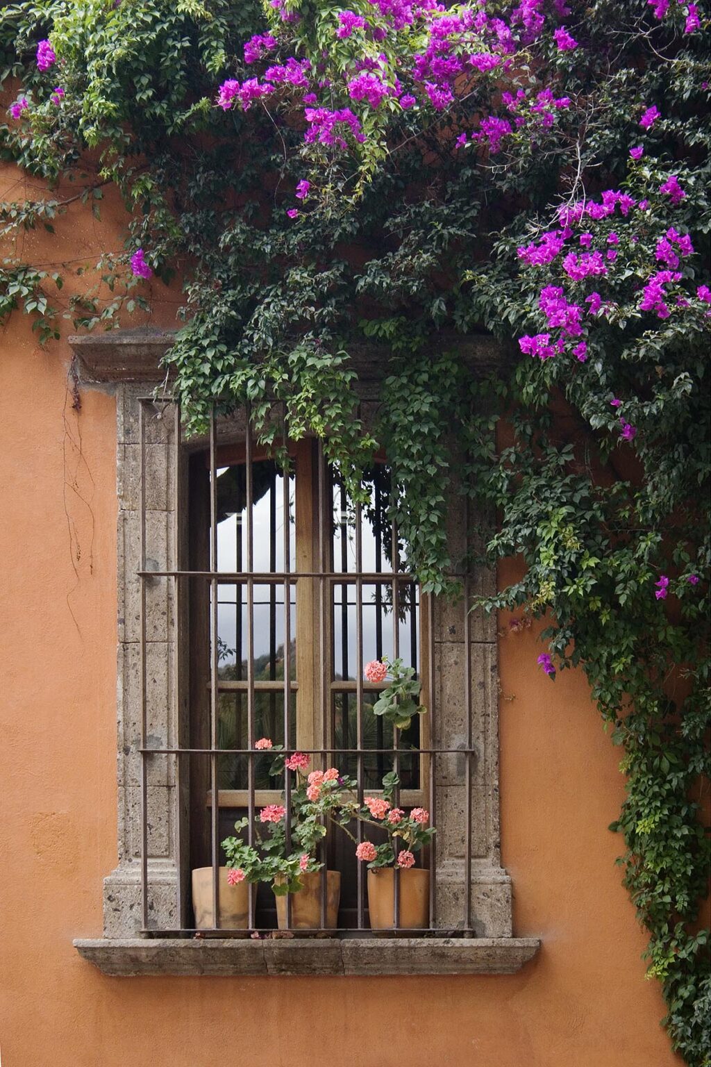 A window framed in stone with wrought iron grillwork is adorned with Bougainvillea in San Miguel de Allende - MEXICO