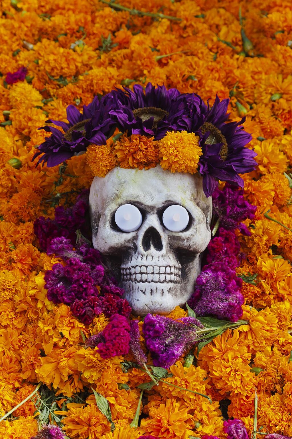 An SKULL ALTAR set up in the JARDIN to honor loved ones who have died during DAY OF THE DEAD -  SAN MIGUEL DE ALLENDE, MEXICO