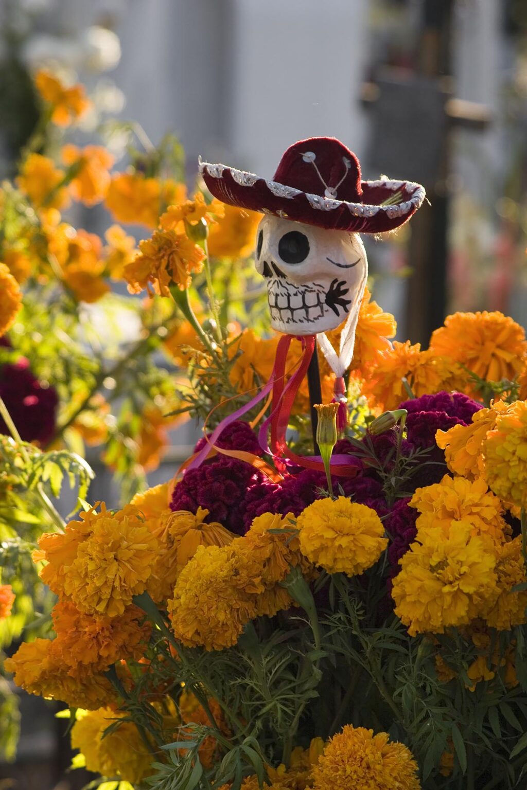 Carnations and a skull with a sombrero decorate a grave during the DEAD OF THE DEAD  - SAN MIGUEL DE ALLENDE, MEXICO