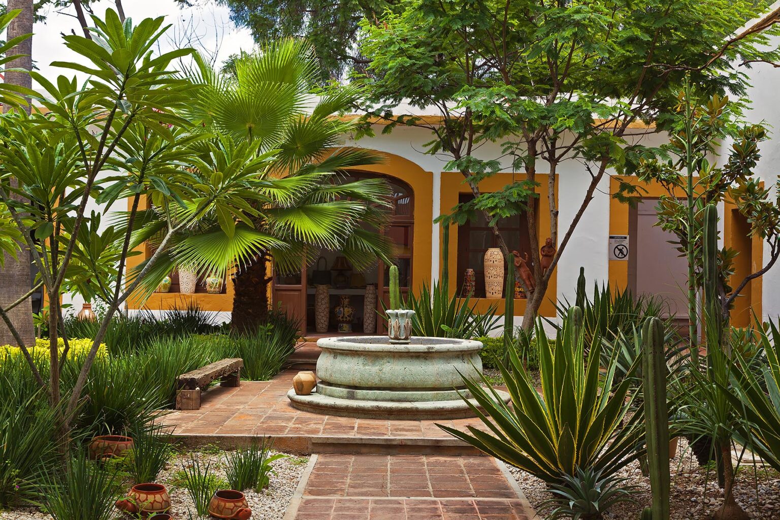 A GARDEN inside a courtyard of a local gallery - OAXACA, MEXICO