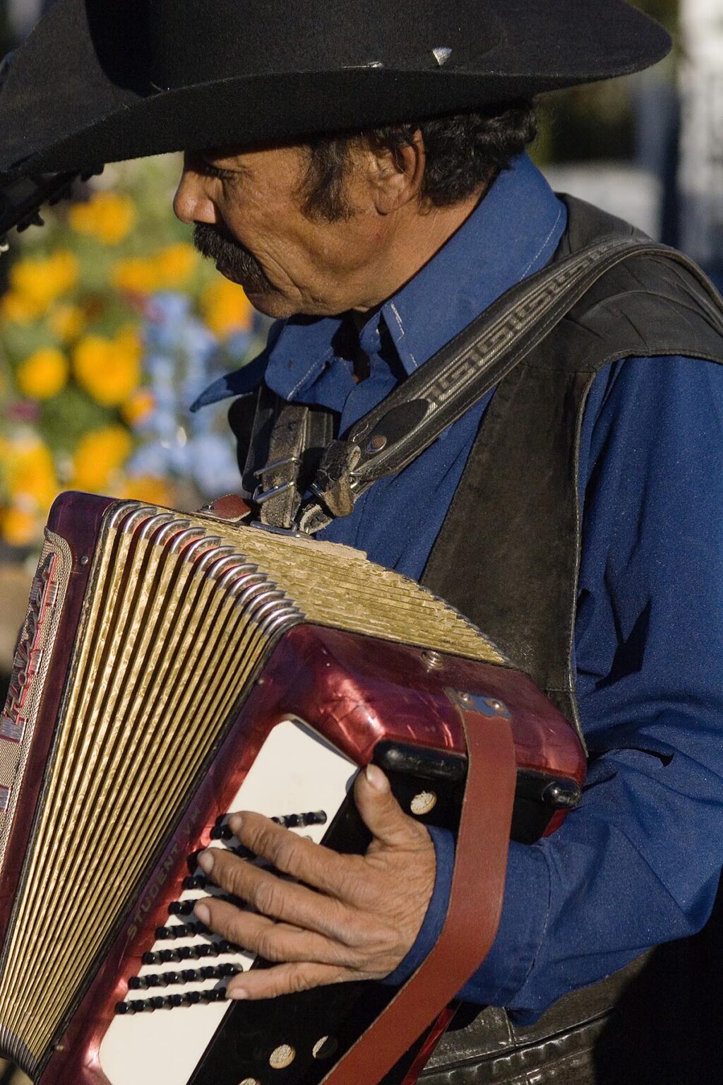 A song is played on an ACCORDION during the DEAD OF THE DEAD - SAN MIGUEL DE ALLENDE, MEXICO
