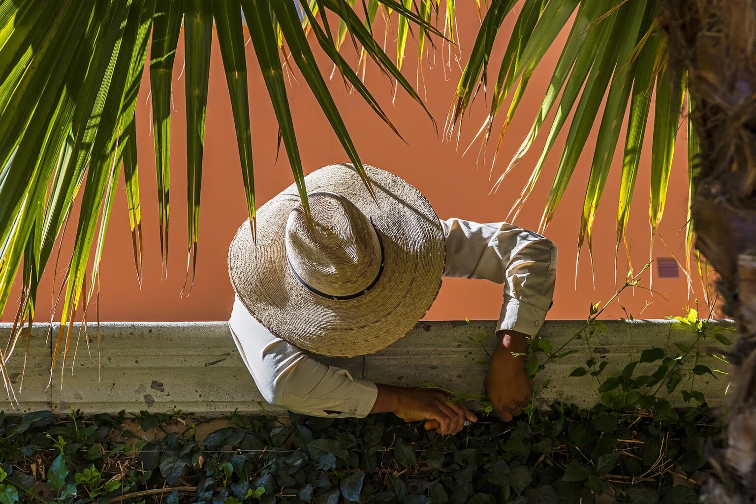 A gardener at work at the ROSEWOOD HOTEL - SAN MIGUEL DE ALLENDE, MEXICO