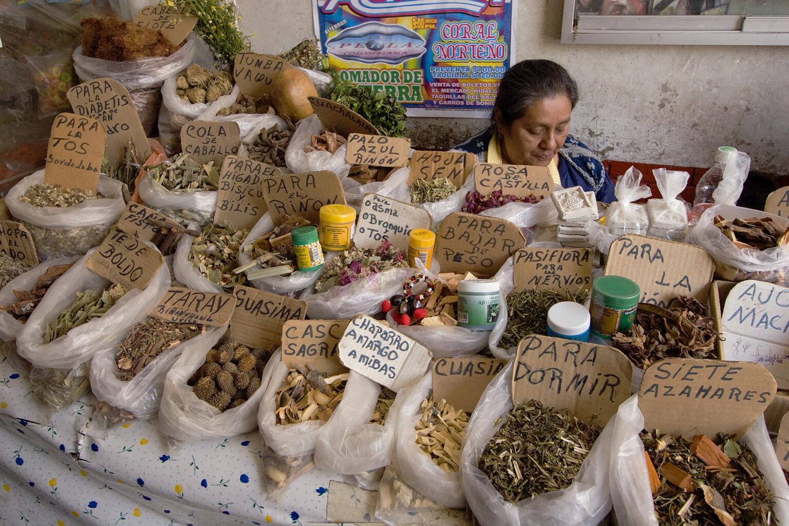 A MEXICAN WOMAN sells MEDICINAL HERBS at the COVERED MARKET - GUANAJUATO, MEXICO