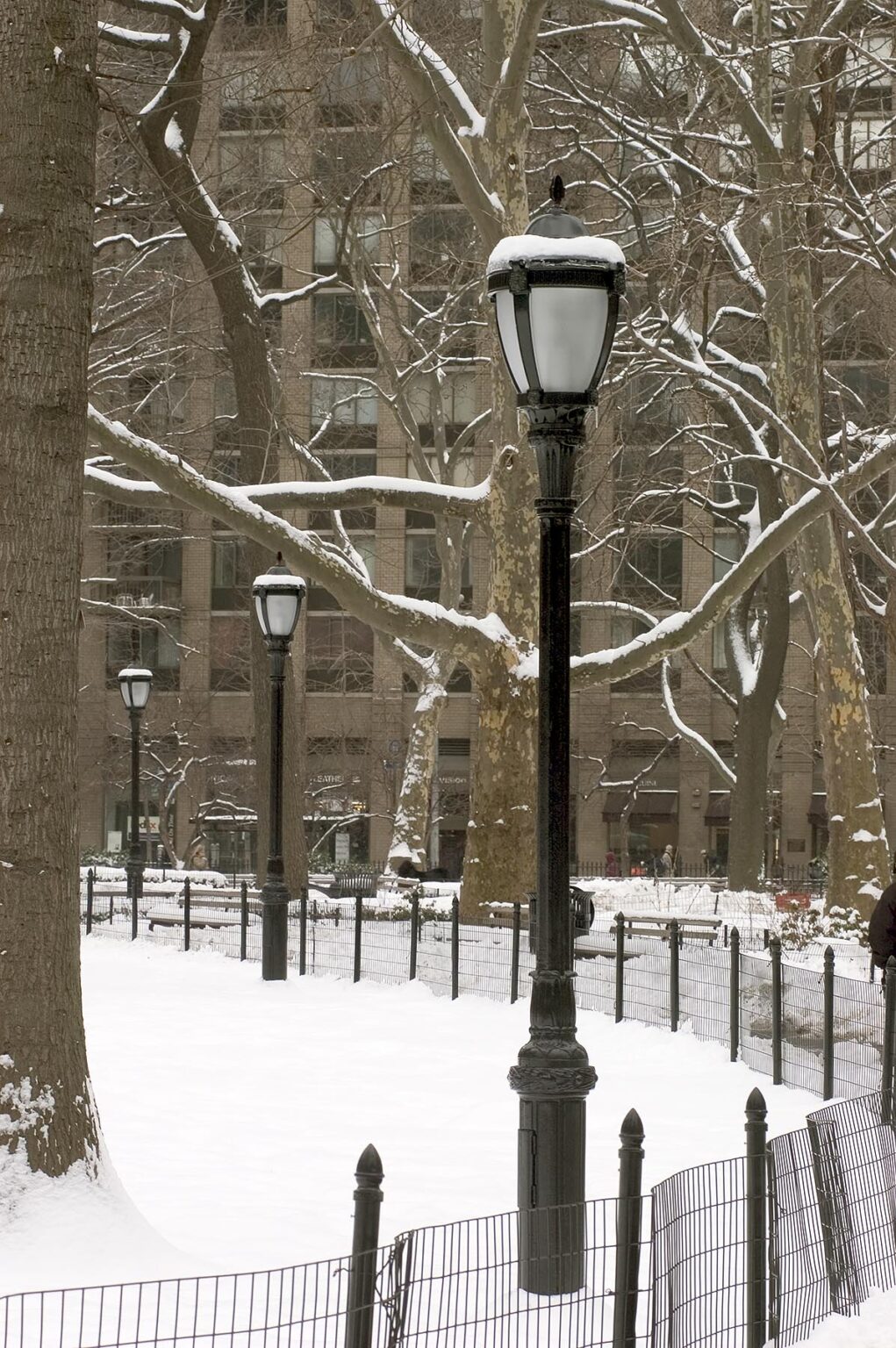 Freshly fallen virgin SNOW covers TREES & LAMPPOSTS in a MANHATTAN community PARK - NEW YORK, NEW YORK, USA