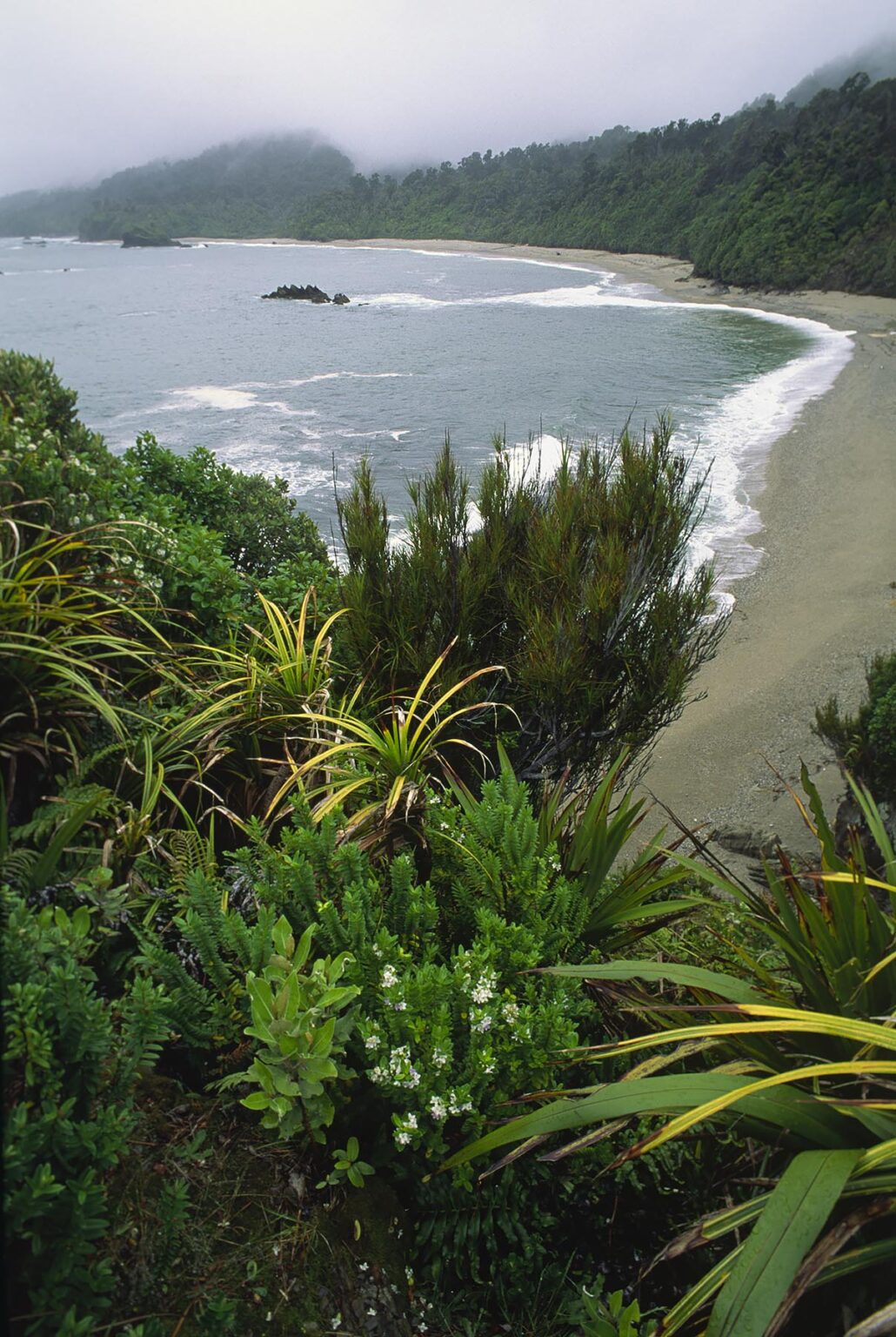 MONROE BEACH on the South Islands wet & wild west side - NEW ZEALAND