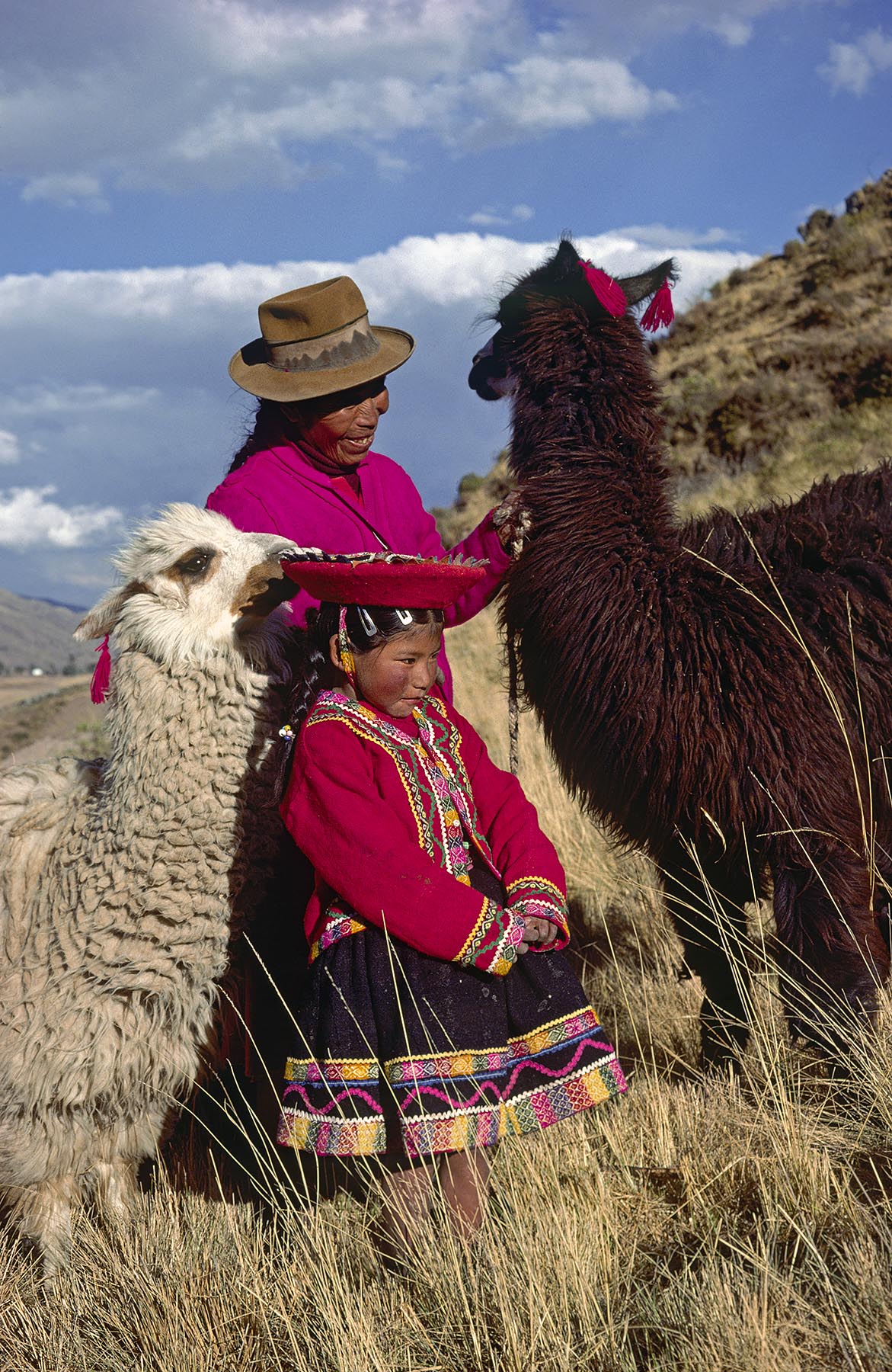 QUECHUA girl with her grandmother & LLAMAS - PERUVIAN ANDES