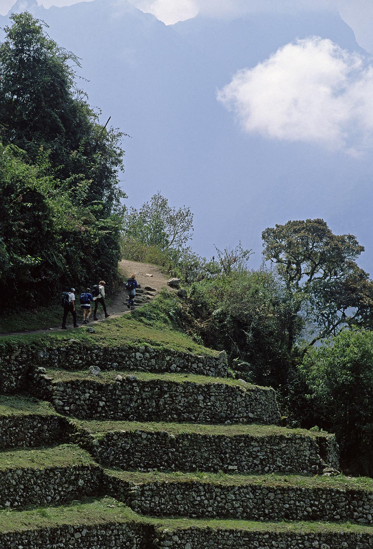 The beautifully constructed STONE TERRACES of WINAY WAYNA (forever young) & the INCA TRAIL - PERUVIAN ANDES