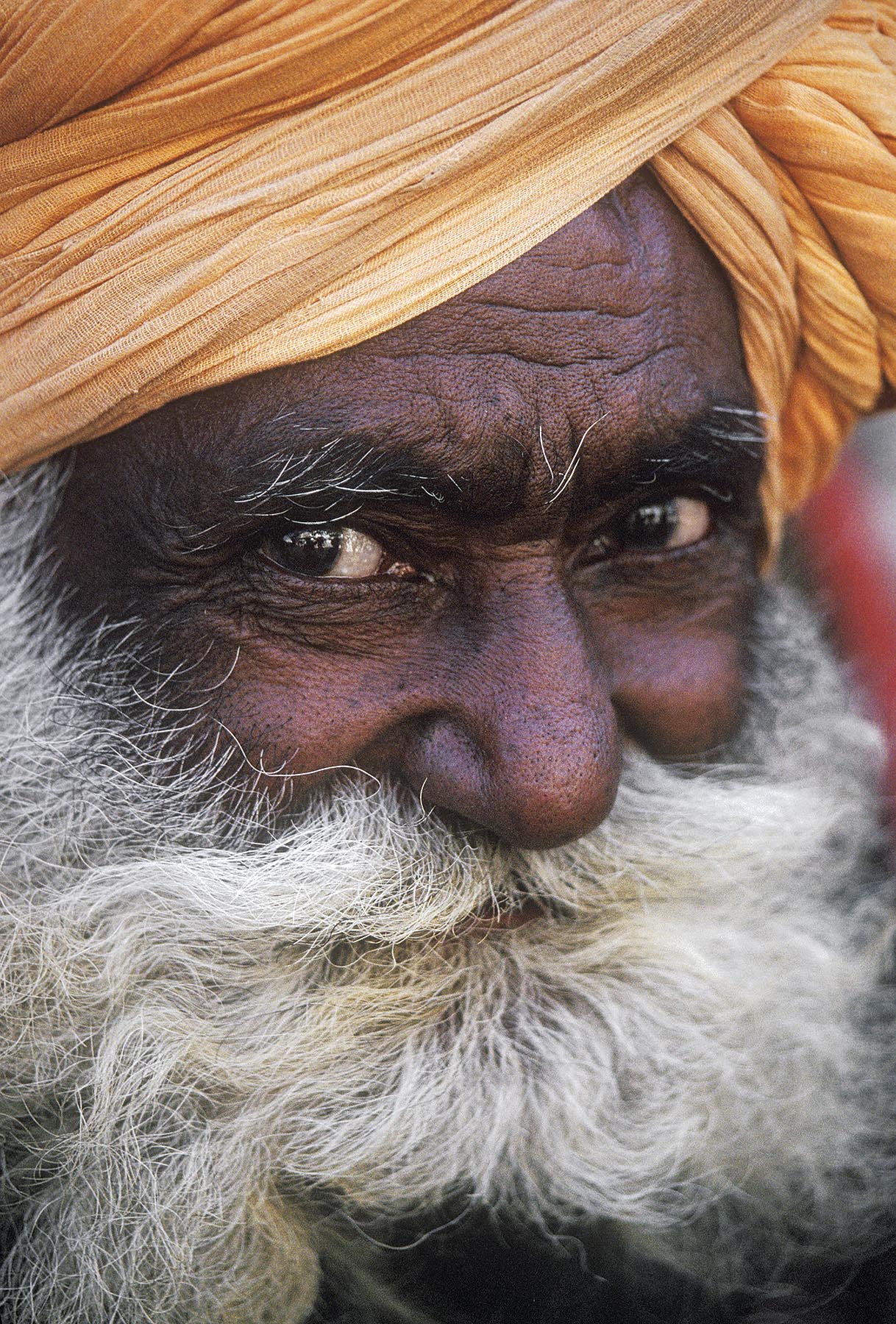 RAJASTHANI MAN with a large MUSTACHE and BEARD and a TURBAN (head wrap) at the PUSHKAR CAMEL FAIR - RAJASTHAN, INDIA