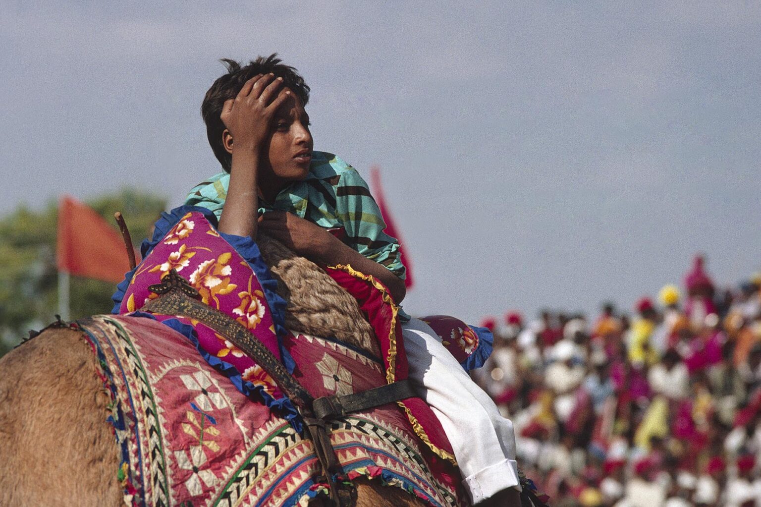A RAJASTHANI BOY rides a CAMEL in front of a crowd at the PUSHKAR CAMEL FAIR - RAJASTHAN, INDIA