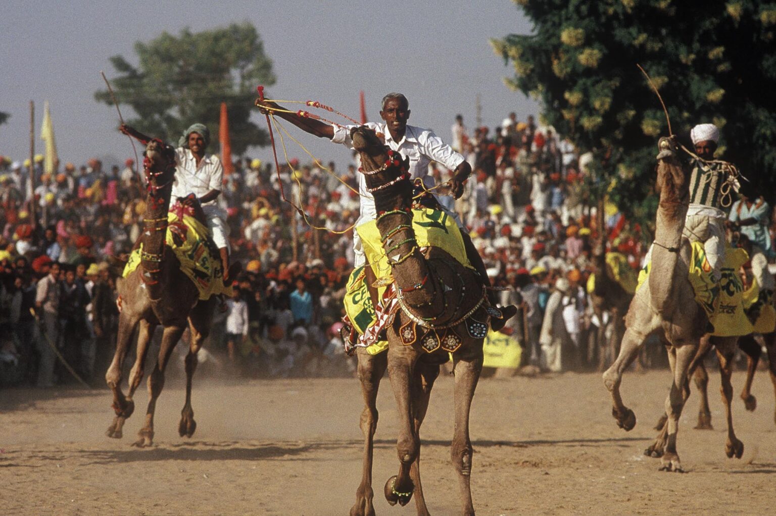 CAMEL RACES at the PUSHKAR CAMEL FAIR - RAJASTHAN, INDIA