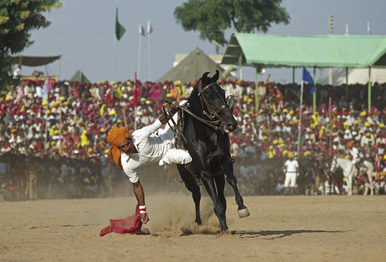 A RAJASTHANI RIDER and his HORSE during a HORSEMANSHIP COMPETITION at the PUSHKAR CAMEL FAIR - RAJASTHAN, INDIA