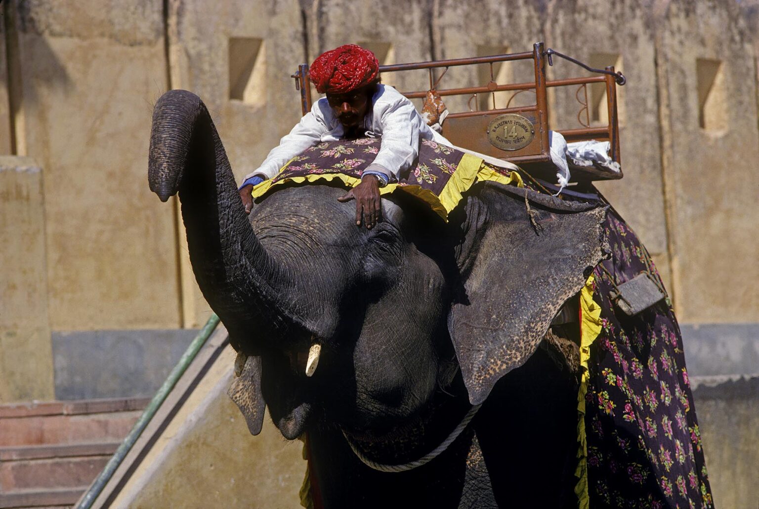 A RAJASTHANI MAHOOT sits on an ELEPHANT at the AMBER FORT near JAIPUR - RAJASTHAN, INDIA