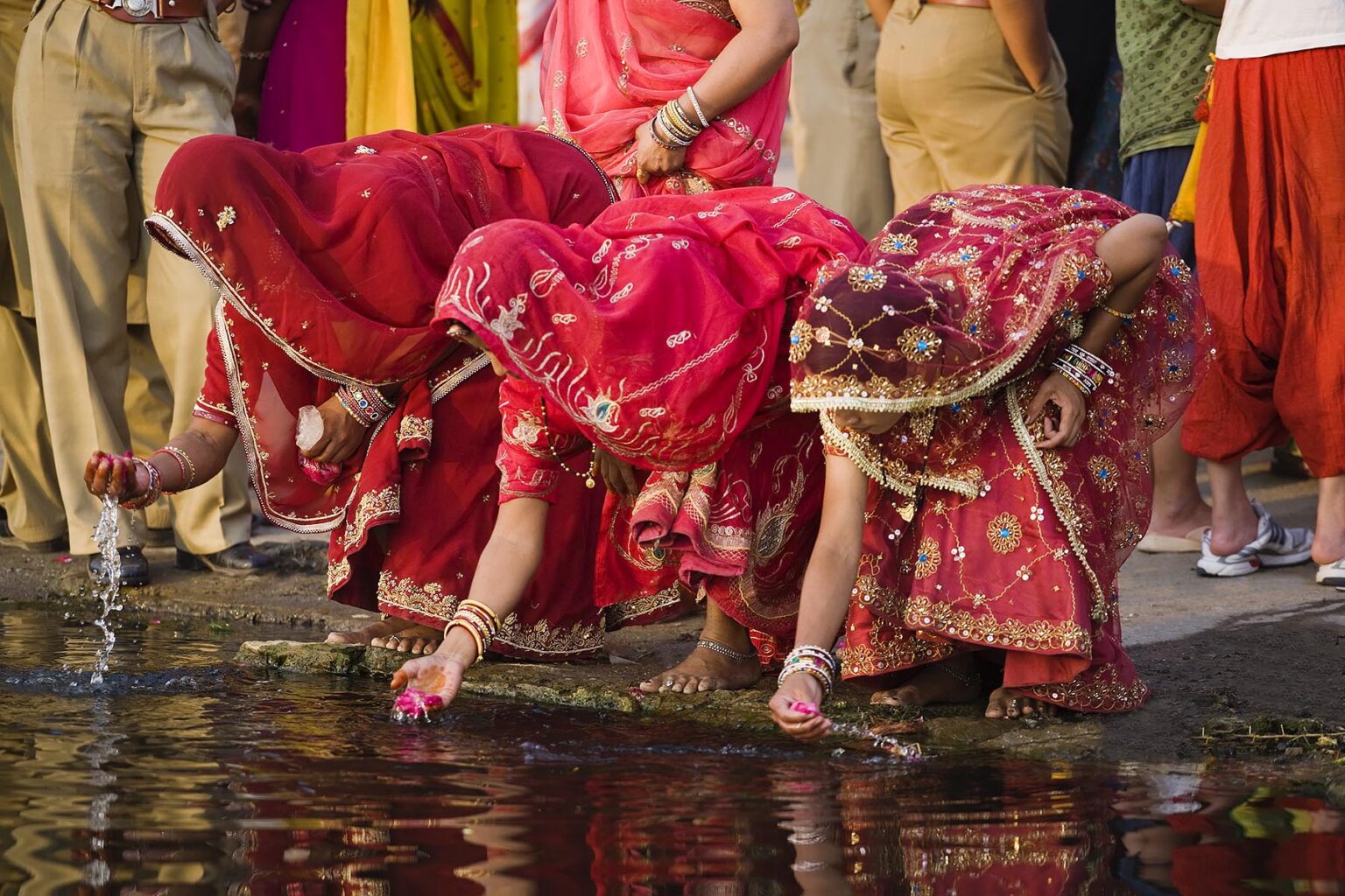 Rajasthani women wash rose petals at the GANGAUR GHAT on the shore of PICHOLA LAKE for the GANGAUR FESTIVAL or MEWAR FESTIVAL - UDAIPUR, RAJASTHAN, INDIA