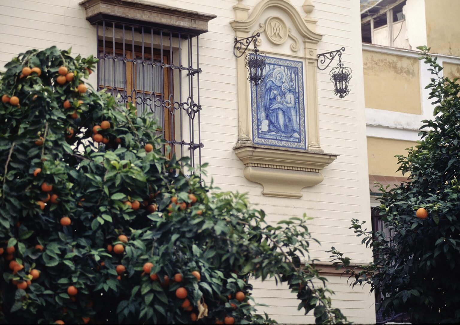 ORANGE TREES are an integral part of  SEVILLA'S ambiance - SPAIN