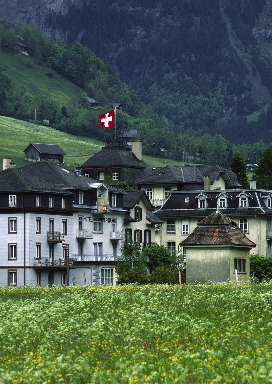 HOTEL ALPINA in the INTERLAKEN REGION of the SWISS ALPS -  SWITZERLAND