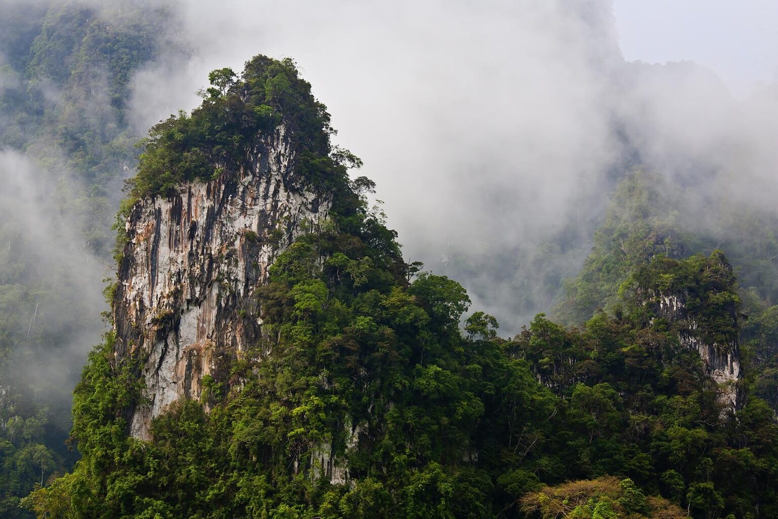Rainforest mist lingers in the KARST FORMATION of KHAO SOK NATIONAL PARK - SURAI THANI PROVENCE, THAILAND