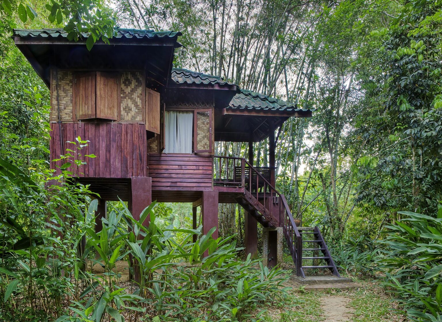 TREE HOUSES are the specialty of OUR JUNGLE HOUSE a lodge in the rainforest near KHAO SOK NATIONAL PARK - SURATHANI PROVENCE, THAILAND