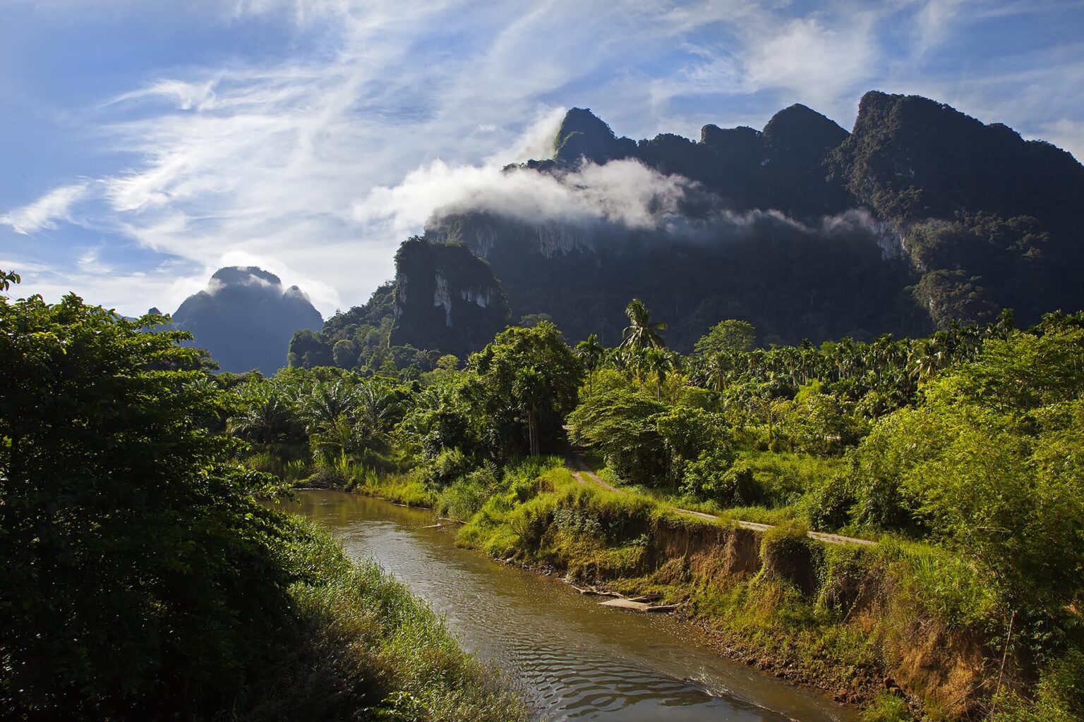 A river runs through the rainforest as mist lingers in the KARST FORMATION just outside KHAO SOK NATIONAL PARK - SURAI THANI PROVENCE, THAILAND