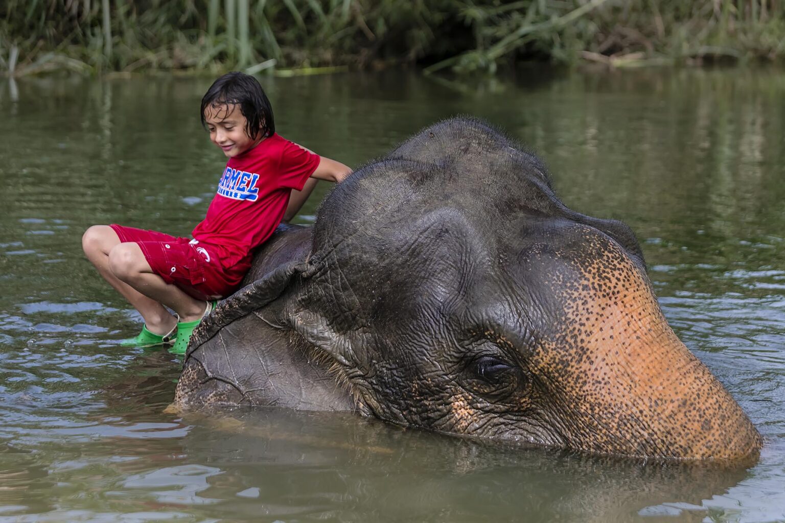 Washing elephants is the humane way to support these animals and their mahoots - KHAO SOK, THAILAND