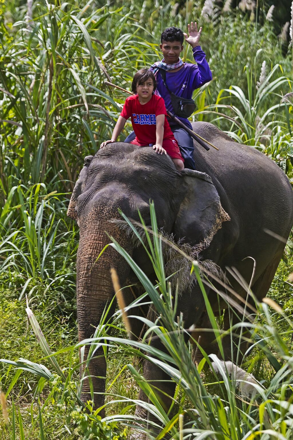 Vajra Garrett rides an elephant at an eco resort - KHAO SOK, THAILAND