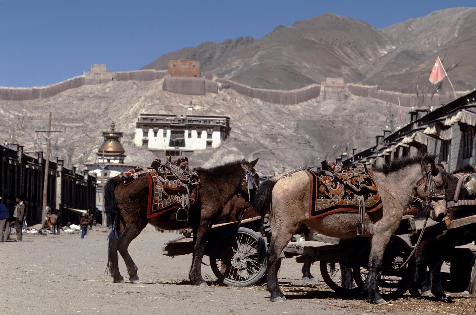 Gyantse's main street with Tibetan ponies & carts & people - Tibet