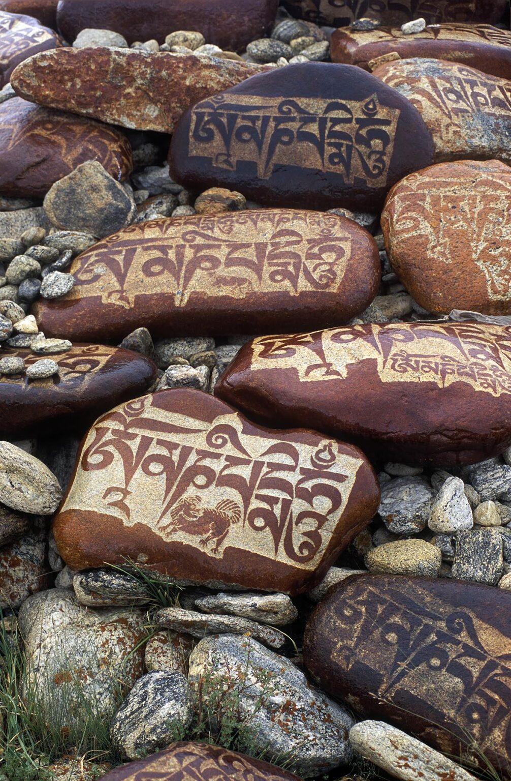 Hand carved MANI STONES with BUDDHIST PRAYERS at sacred LAKE MANASAROVAR (4550M) - KAILASH, TIBET