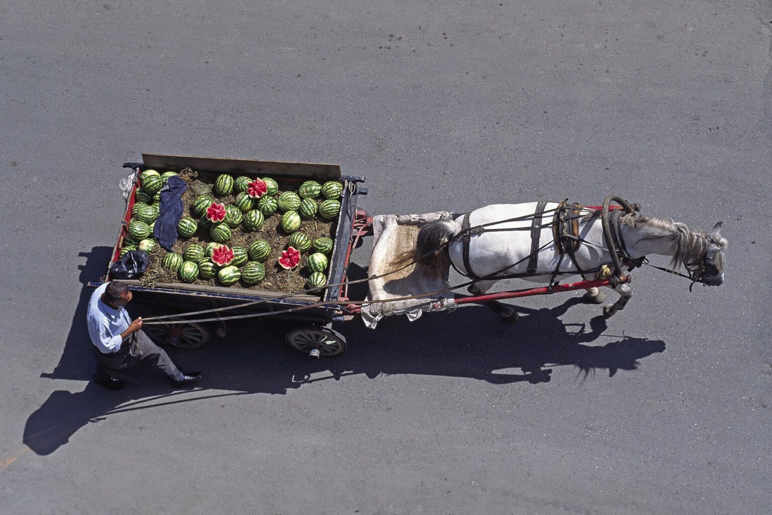 Man with horse and cart loaded with watermelons - Istanbul