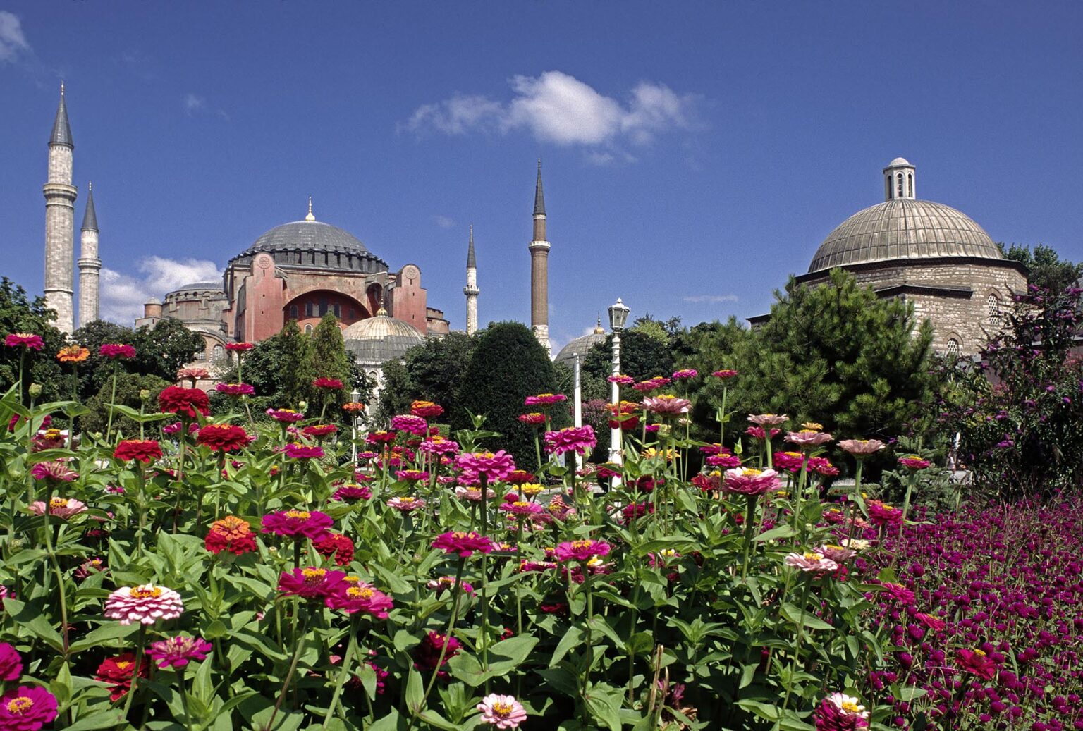 Flower gardens and The Ayasofya Camii (St Sophia Cathedral) - Byzantine church originally built in 537 AD, & eventually converted to a Mosque - Istanbul, Turkey
