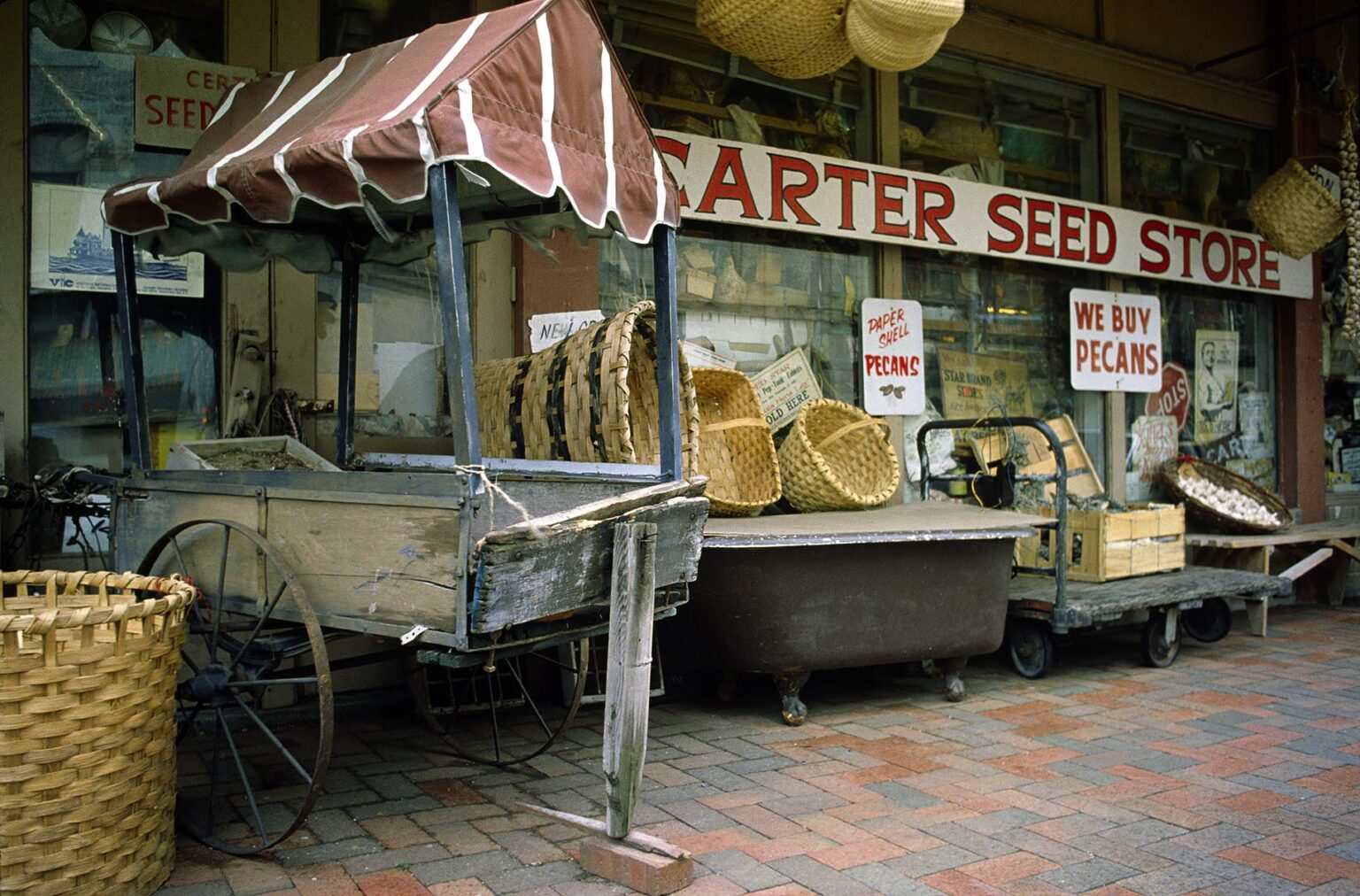 CARTER SEED STORE - MEMPHIS, TENNESSEE