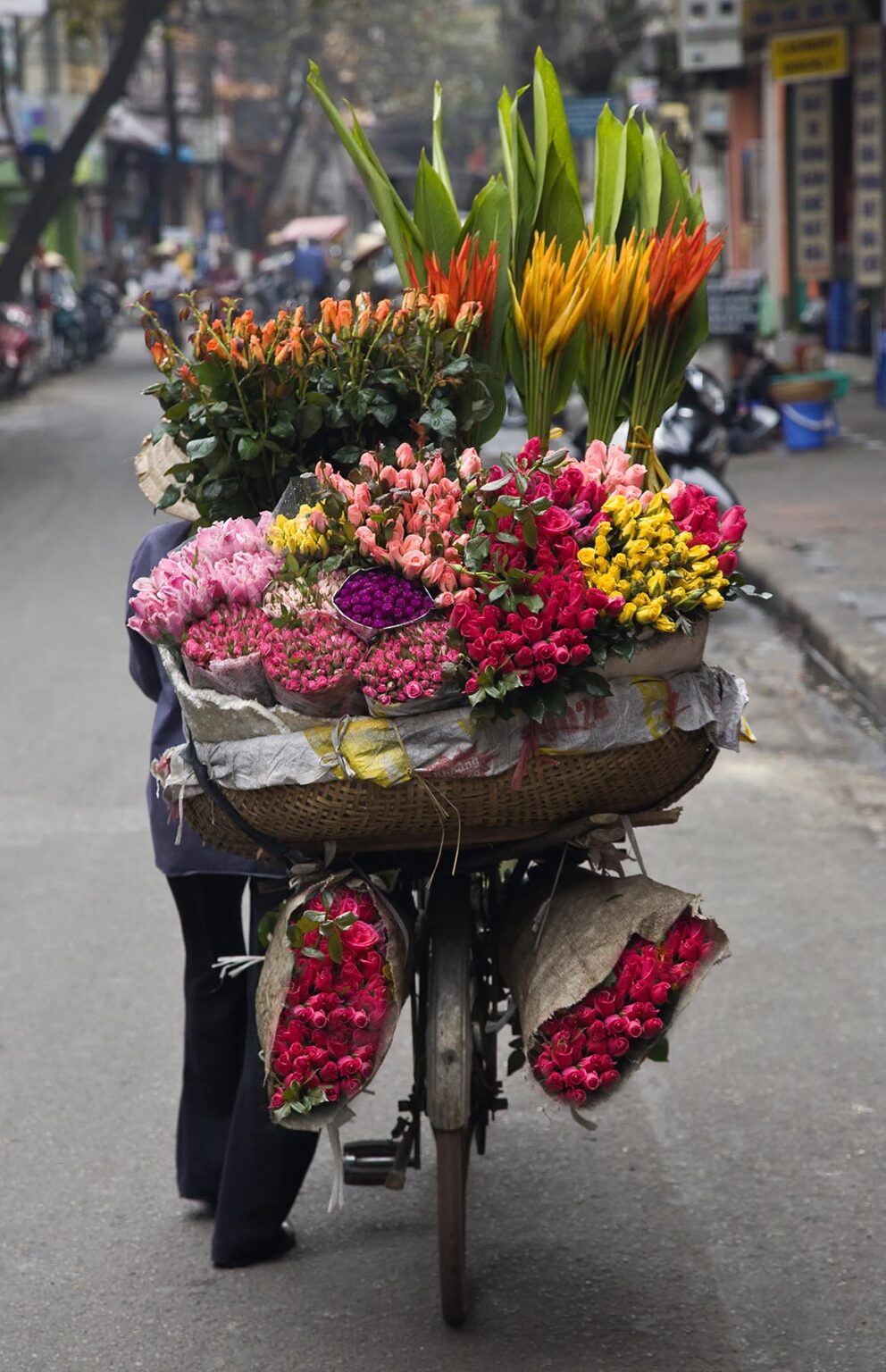 A flower merchant uses a bicycle as a mobile store - HANOI, VIETNAM