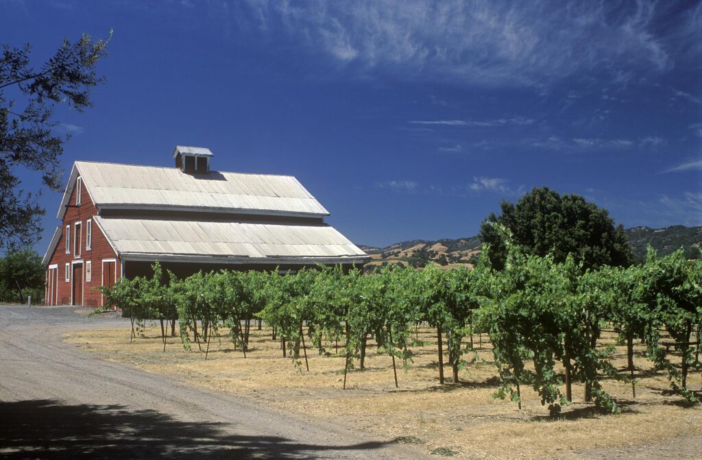 NAPA VALLEY VINEYARD with barn - ST. HELENA, CALIFORNIA
