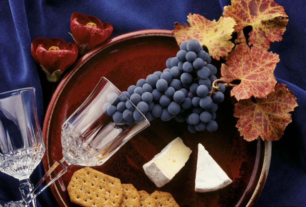 ZINFANDEL GRAPE CLUSTER with CRYSTAL WINE GLASS, BRIE and CRACKERS on BLUE VELVET