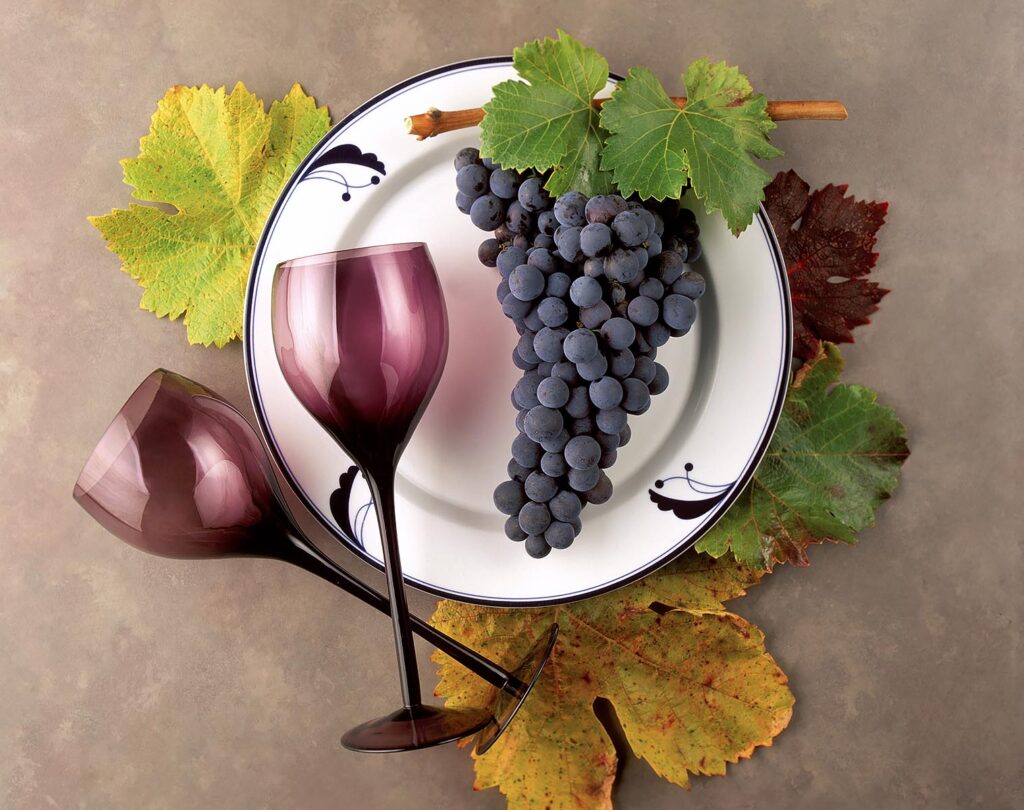 ZINFANDEL WINE GRAPES, LEAVES, and BURGUNDY WINE GLASSES on WHITE PLATE - WINE INDUSTRY