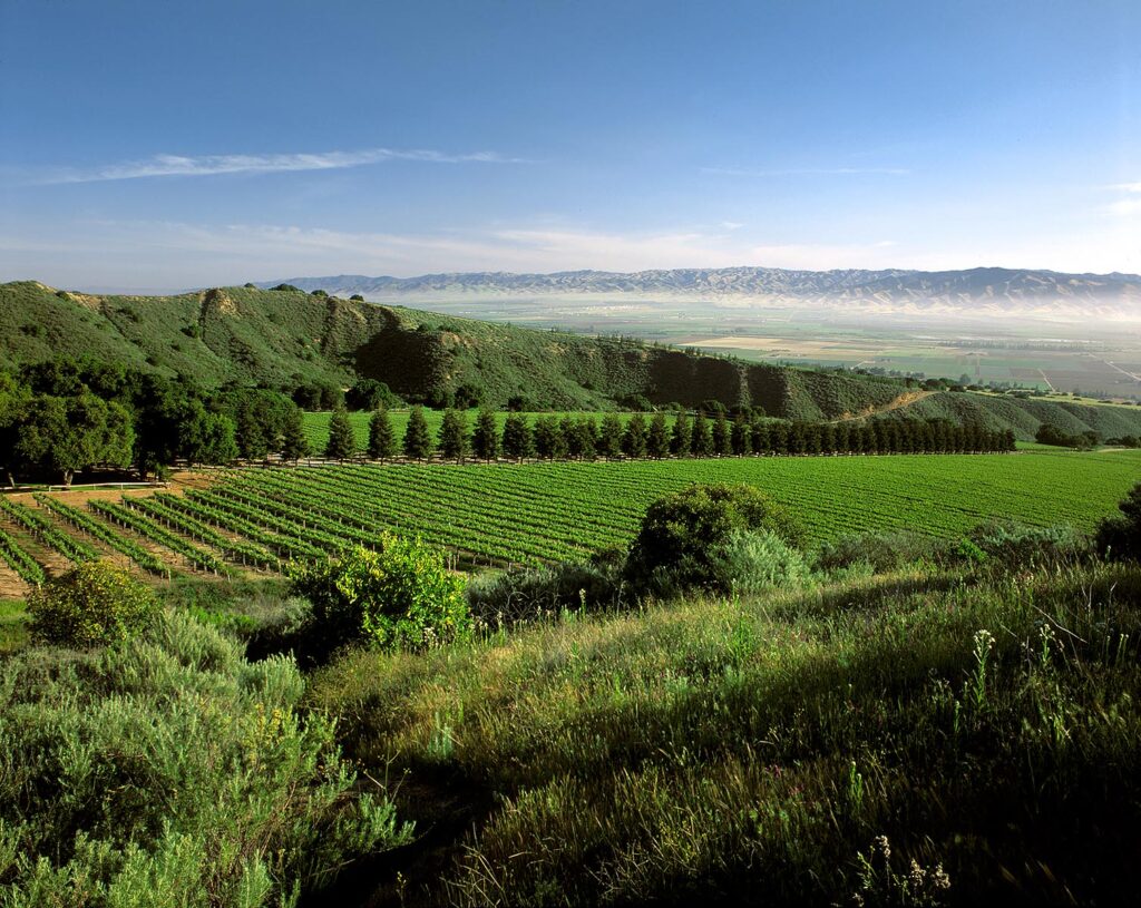 SMITH & HOOK/HAHN ESTATES Vineyard has a spectacular view across the SALINAS VALLEY to the GABILAN MNTS. - CALIFORNIA