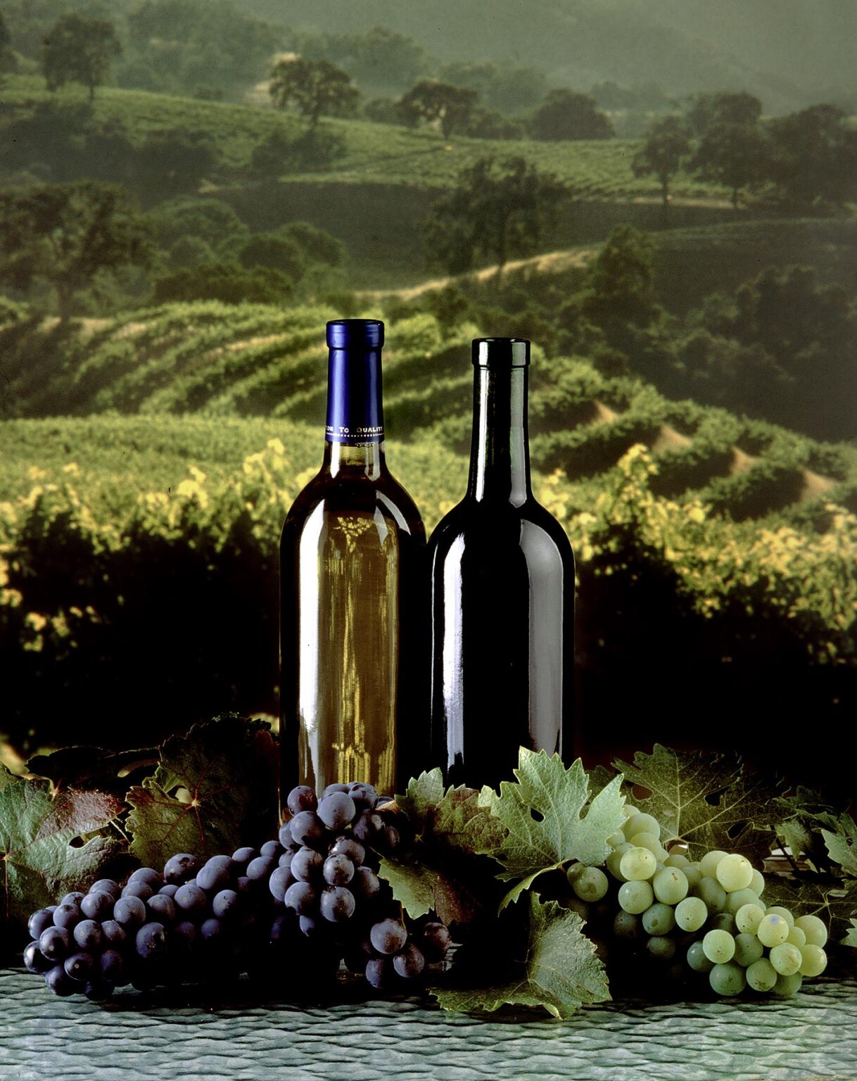 RED and WHITE WINE are one of the west coasts primary agricultural products