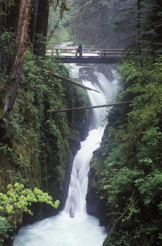 The famous SOLEDUCK FALLS can be reached in two miles from the end of the road in the SOL DUC VALLEY - OLYMPIC NATIONAL PARK