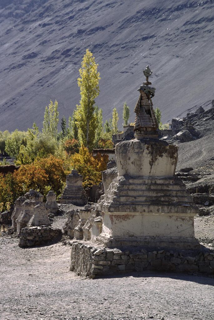 A row of CHORTENS made from ADOBE mud brick sit among AUTUMNAL APRICOT and other deciduous trees - LADAKH, INDIA