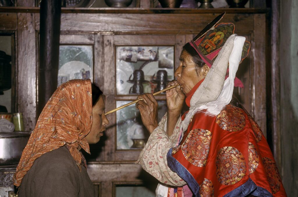 The Buddhist ORACLE of SHALU sucks poison (evil spirits) from the stomach of a TOURIST (Bodhi) - LADAKH, INDIA