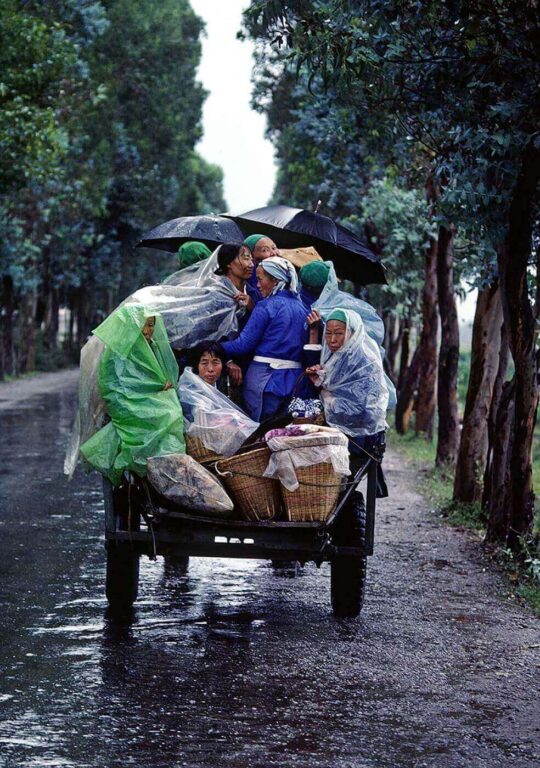 CHINESE PEASANTS crowd onto the back of a TRUCK in the farming town of DALI - YUNNAN, CHINA