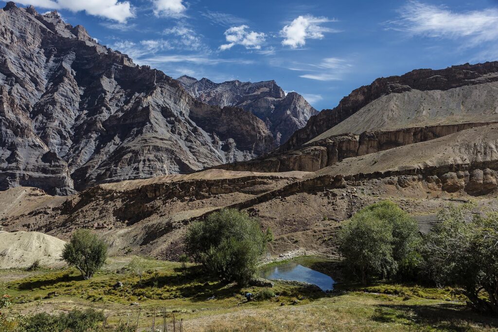 Agricultural fields in the ZANSKAR RIVER GORGE below Nyerak village - ZANSKAR, LADAKH, INDIA