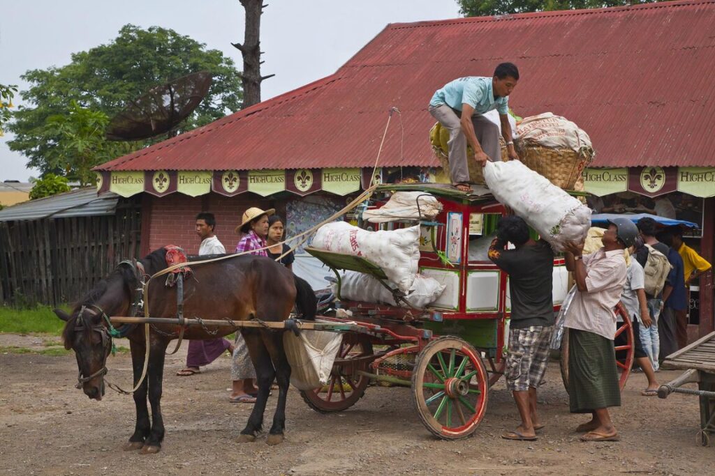 A horse cart delivers goods at the TRAIN STATION - PYIN U LWIN, MYANMAR